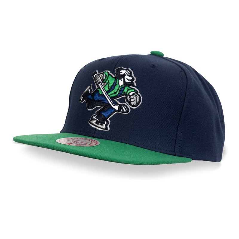 M&N Team Ground 2.0 Snapback Hat – Abbotsford Canucks