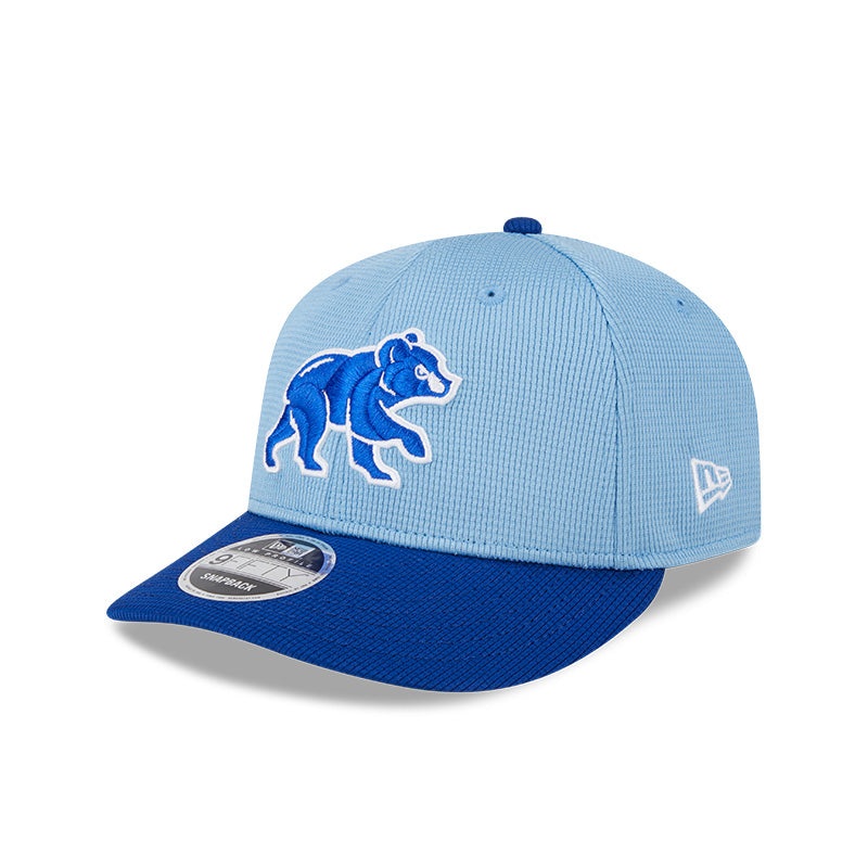 Chicago Cubs 2024 Spring Taining Low Profile 9Fifty Snapback Hat