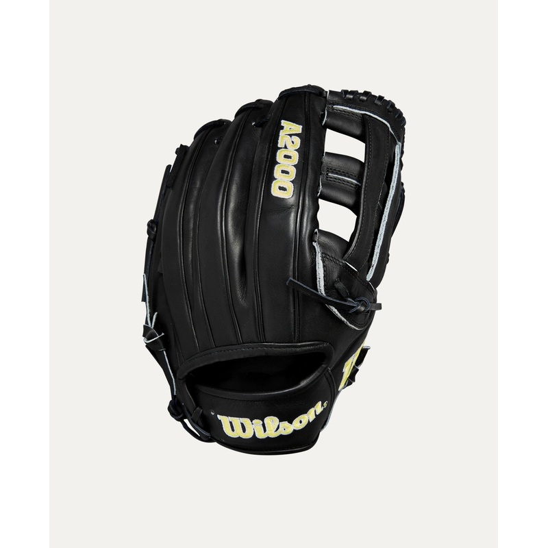 Classics Series A2000 DW5 Infield Baseball Glove – 12
